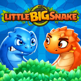 Little Big Snake image